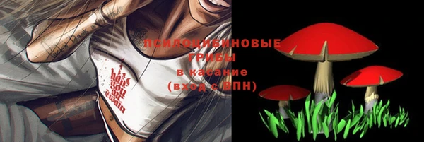 мет Осташков