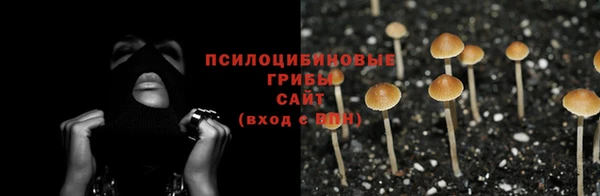 крисы Абдулино