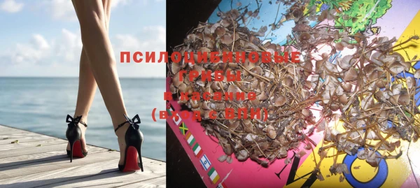 спиды Абаза