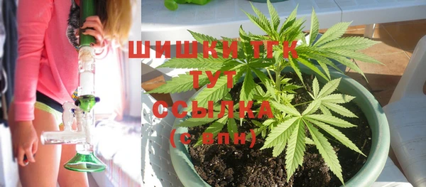 молекула духа Болхов