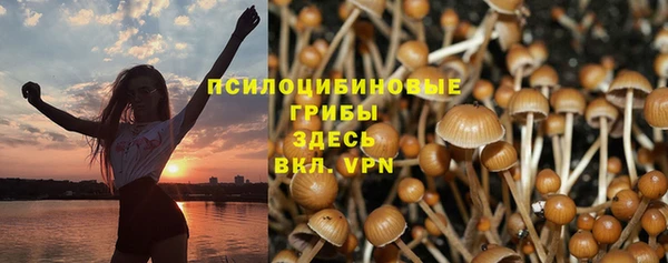 спиды Абаза