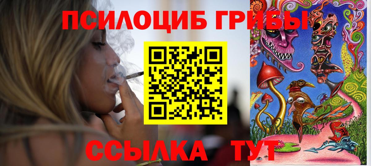 Псилоцибиновые грибы прущие грибы  Вход с VPN  Псилоцибиновые грибы Psilocybine cubensis  Рославль 