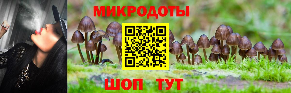 Псилоцибиновые грибы Psilocybe Рославль